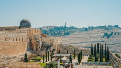 שיא חדש: 7,795 יהודים עלו להר הבית בחודש האחרון