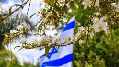 אמיר חצרוני לא עוצר: "אזרחי ישראל הם פושעי מלחמה"