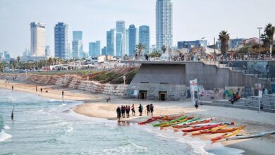 סיון כהן על דגלי פלסטין בת"א: "השמאל מתאבד ומחרב"