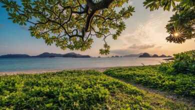 יעדים שאין בשום מקום אחר: האיים הכי מיוחדים ביפן